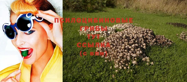 стафф Абаза