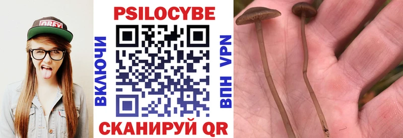 Галлюциногенные грибы Psilocybine cubensis  наркошоп  Суоярви 